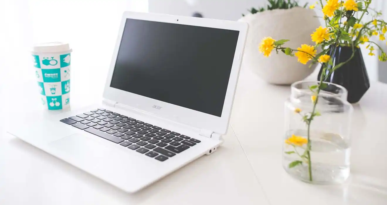 Ремонт ноутбуков Acer в Алабино